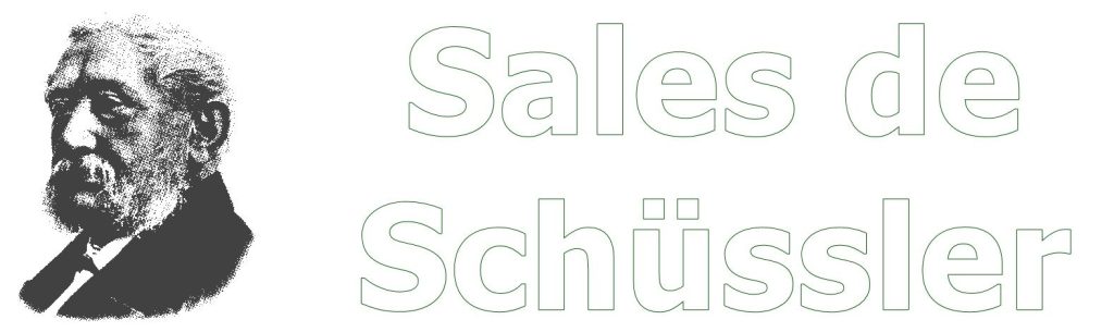 CURSO DE SALES DE SCHUSSLER